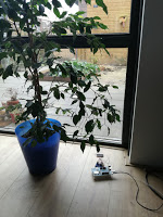 Solar harvest measurement by the window